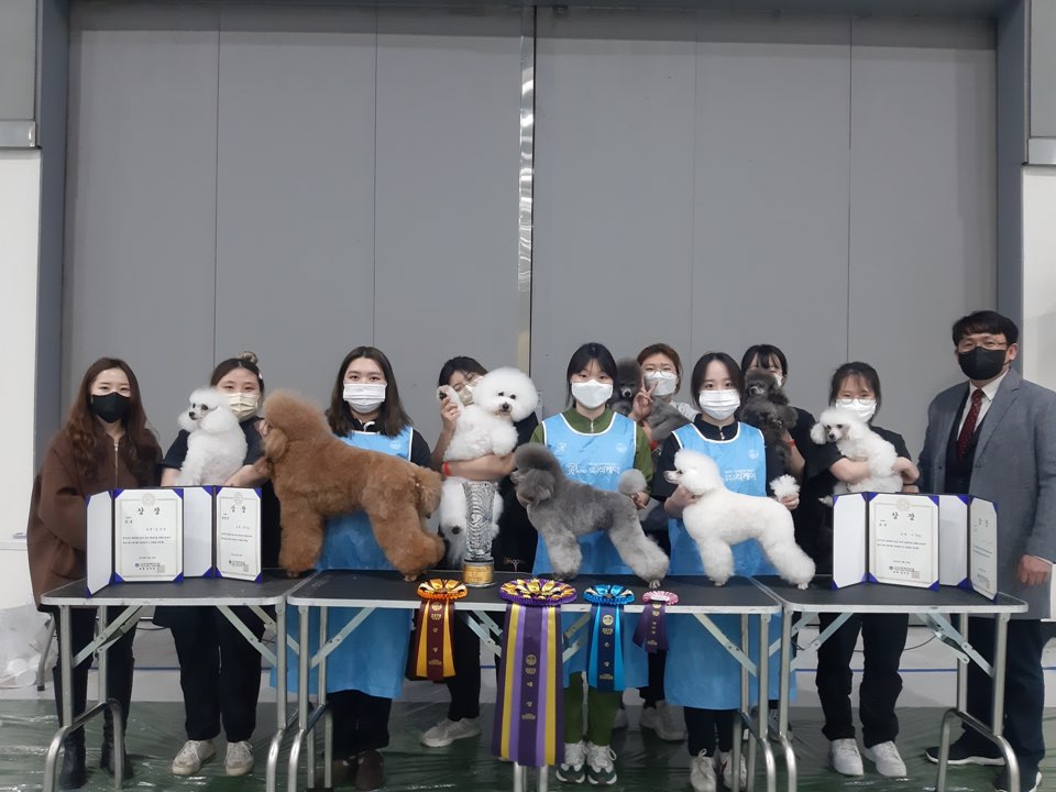 제96회 kkf전국 애견미용 에서 학생들과 교수님들 상장을 들고, 미용 된 애견들과 함께 단체 사진 