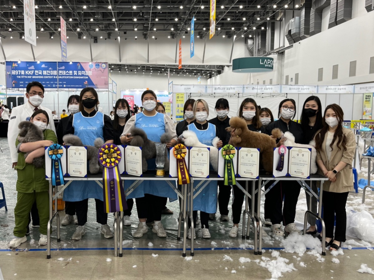 제97회 kkf전국 애견미용 에서 학생들과 교수님들 상장을 들고, 미용 된 애견과 함께 단체 사진 
