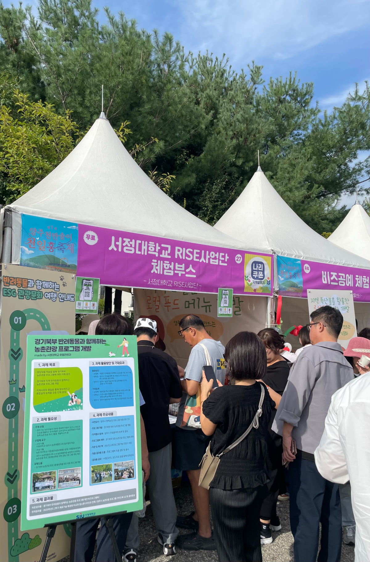 제7회 양주천만송이 천일홍축제 사진3